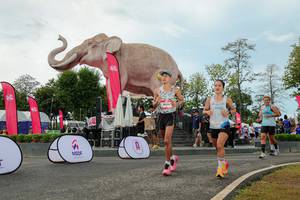 BIB: 
                            <button type="button" onclick="openModal(26528984)" class="btn btn-primary btn-sm float-right btn-popup" data-toggle="modal" data-target=".modal-high-quality">
                        <i class="fas fa-shopping-cart"></i> Add to Cart
                    </button>
                                            <button type="button" onclick="isThisMe(26528984, true)" class="btn btn-success btn-sm float-right btn-popup btn-isme hidden" data-toggle="tooltip" data-placement="bottom" title="นี่คือรูปของคุณใช่ไหม คลิกที่นี่เพื่อเอาเข้าอัลบั้ม">
                        <i class="fas fa-plus"></i> Add to album
                    </button>
                    <button type="button" onclick="isThisMe(26528984, false)" class="btn btn-warning btn-sm float-right btn-popup btn-isnotme hidden">
                        <i class="fas fa-ban"></i> Remove from album
                    </button>